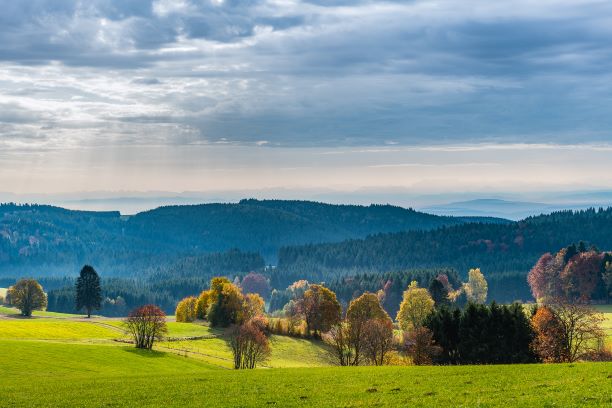 Vier Jahreszeiten am Schluchsee