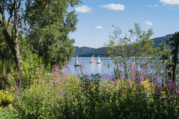 Vier Jahreszeiten am Schluchsee