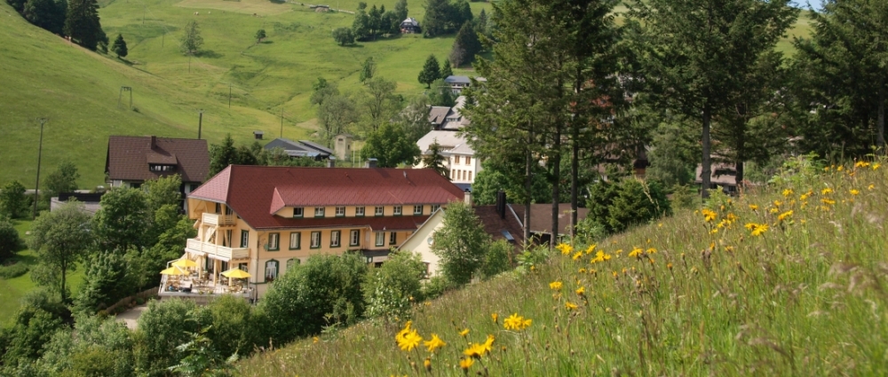 Vitalhotel Grüner Baum