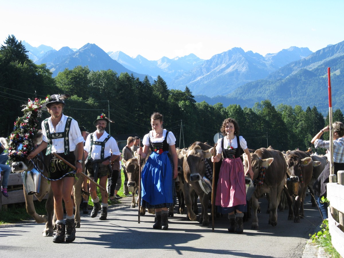 Viehscheid in Schöllang