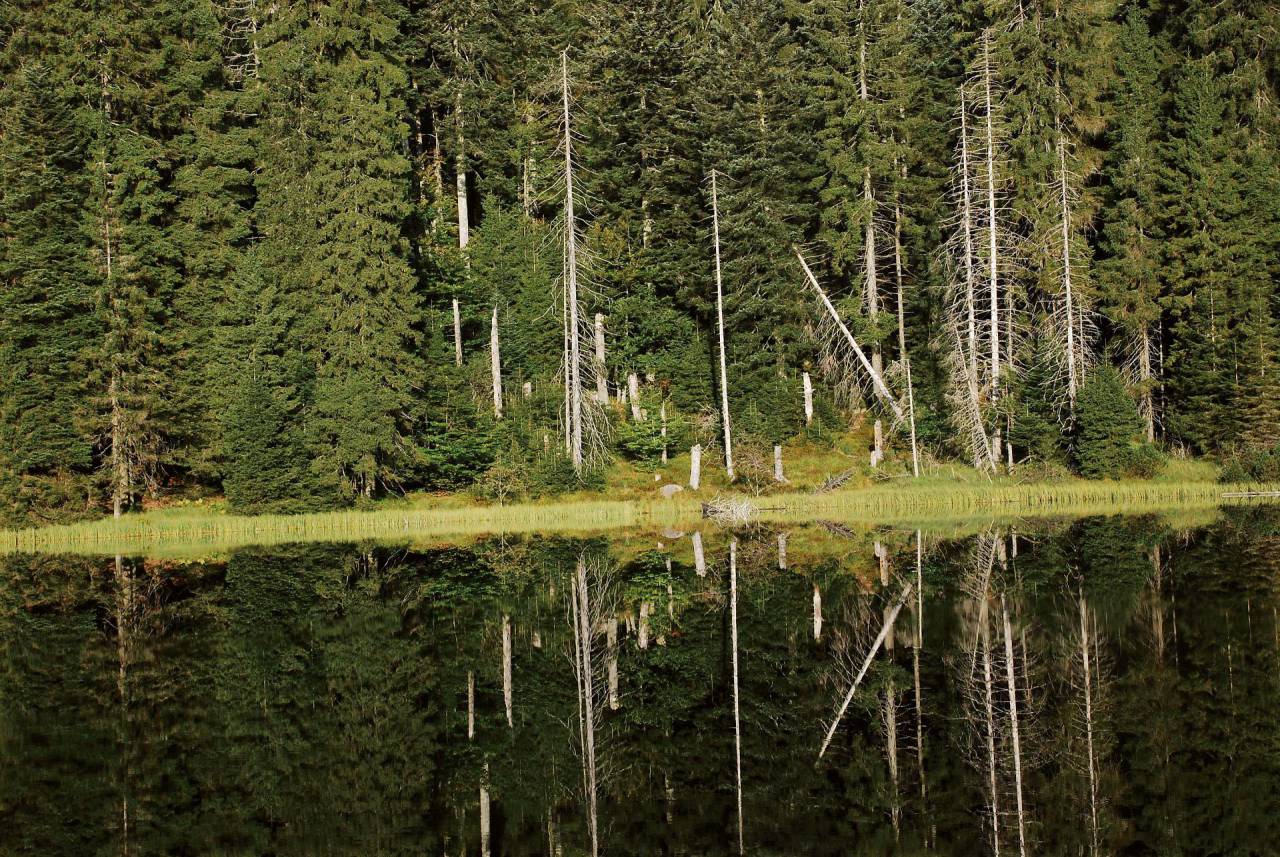 Wanderurlaub im Schwarzwälder Freudenstadt: Wandern & Walking