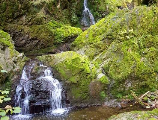 Wutach Schlucht – der Grand Canyon des Südschwarzwaldes