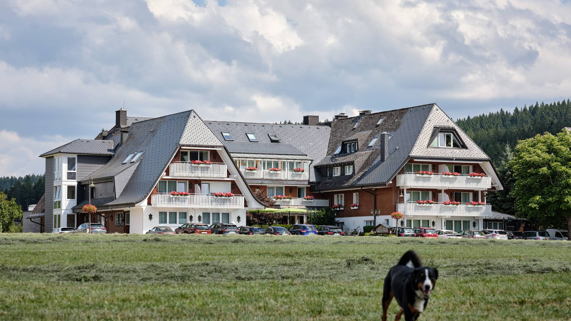 Ausgezeichneter Wellnessurlaub in Hinterzarten