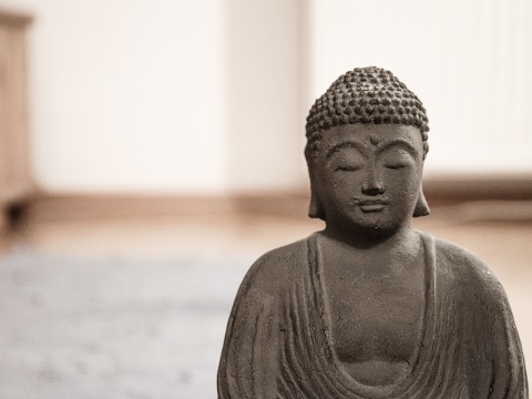 Ayurveda zum Kennenlernen