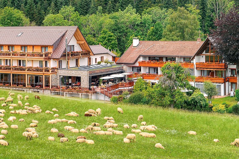 Hotel Grüner Wald im Schwarzwald